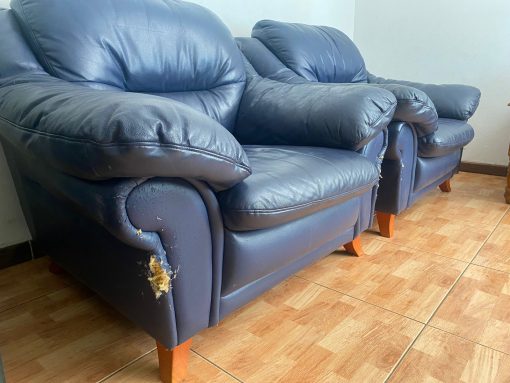 Sillones Cuero Azul con Patas Madera