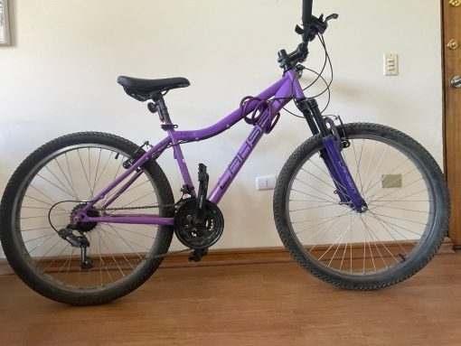 Bicicleta Lahsen aro 26