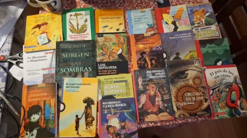 Lote de 22 libros lectura complementaria