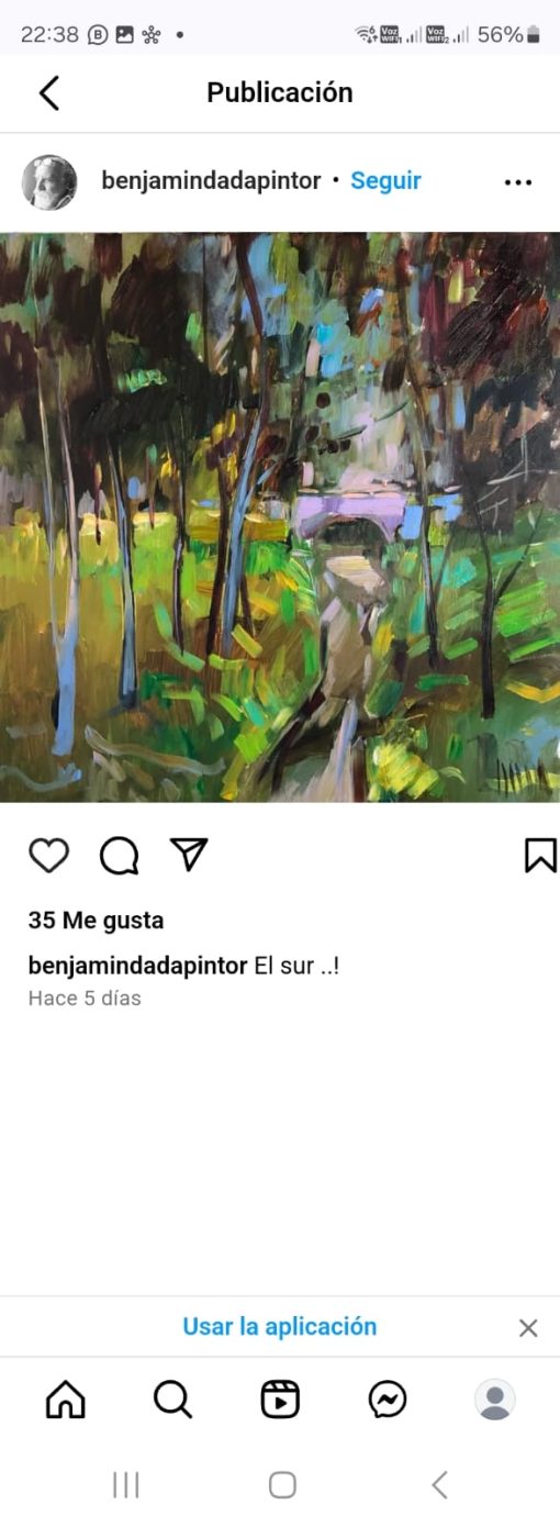 Cuadro el Sur Benjamín Dada - Imagen 2